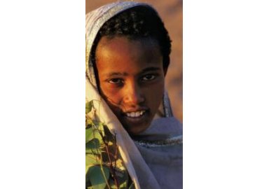 Bergère Amhara